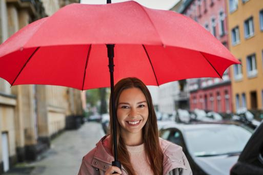 Obrázek: ac-regular-umbrella-grey-1245-art-564-detail-3766-l-upraveno