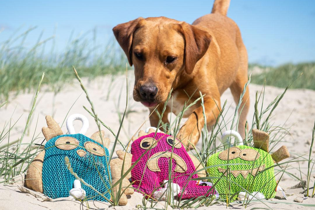Obrázek: hundespielzeug-gespenst-gruen-m170031-artfarbe-6578-detail-2768-xl-upraveno