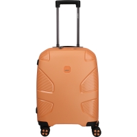 IP1  Suitcase  S - Garden apricot
